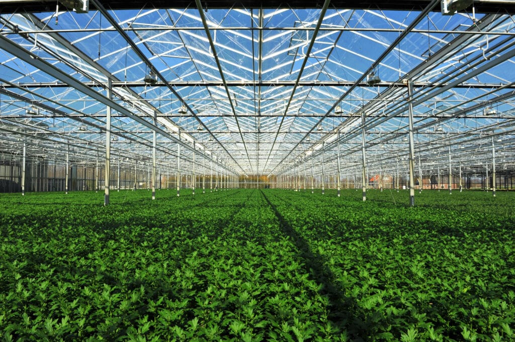 Greenhouse & Horticulture Broekman Logistics_1
